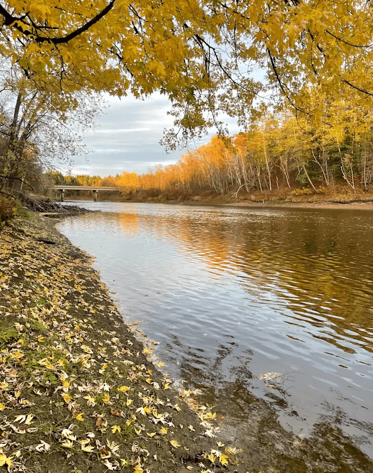 Group site along the river in fall foliage