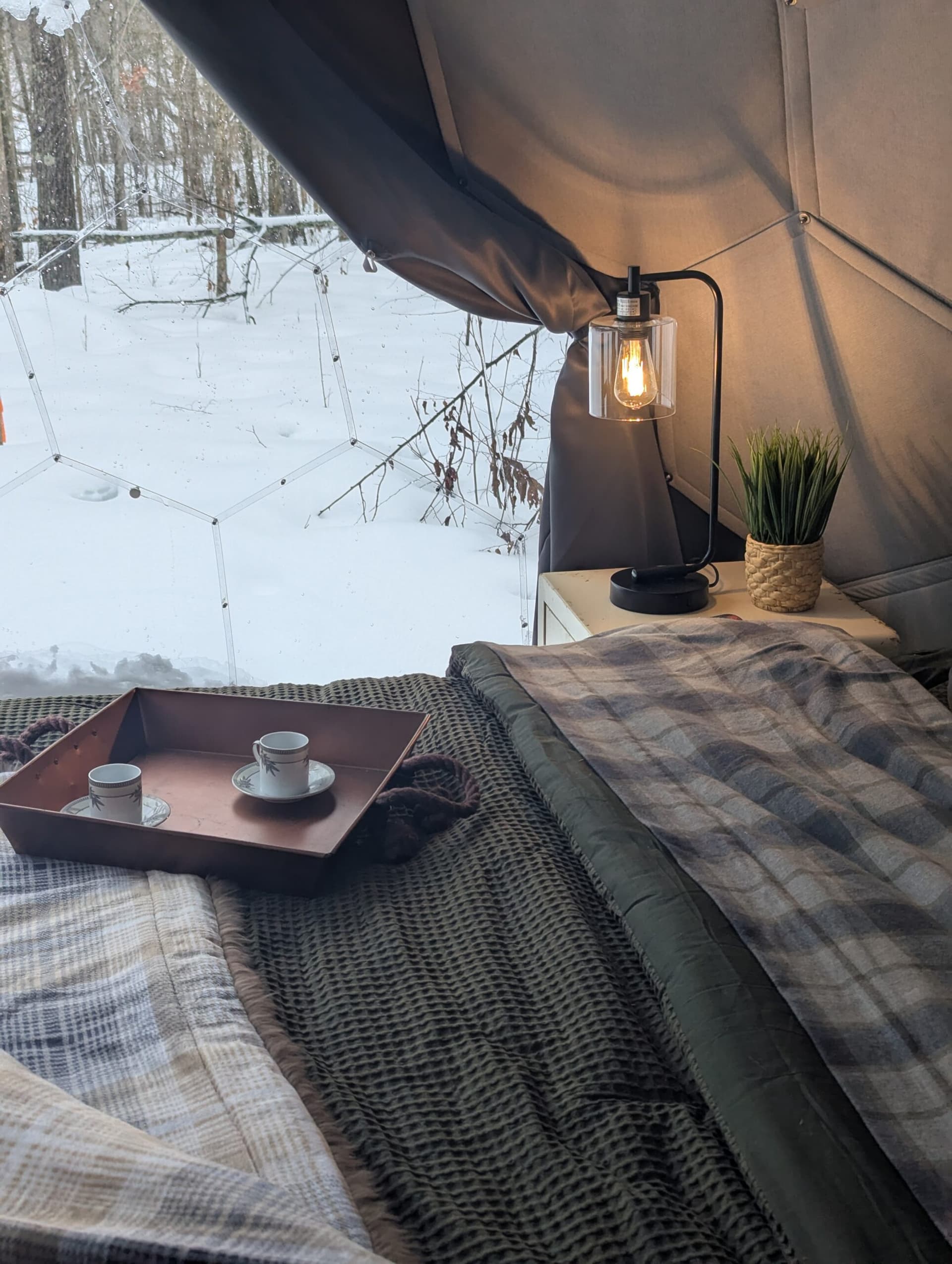 The property in winter — snow-covered outdoor scene