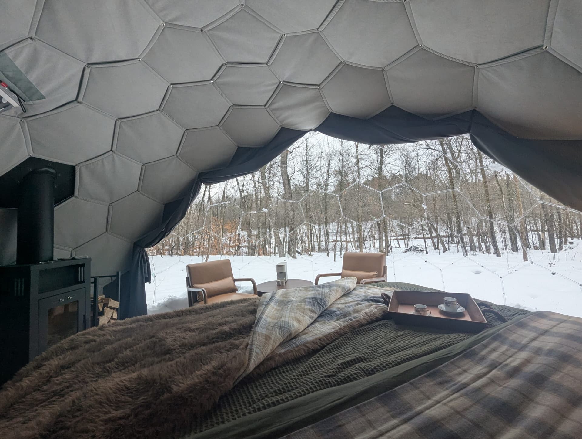 Campsite or dome exterior nestled in the woods