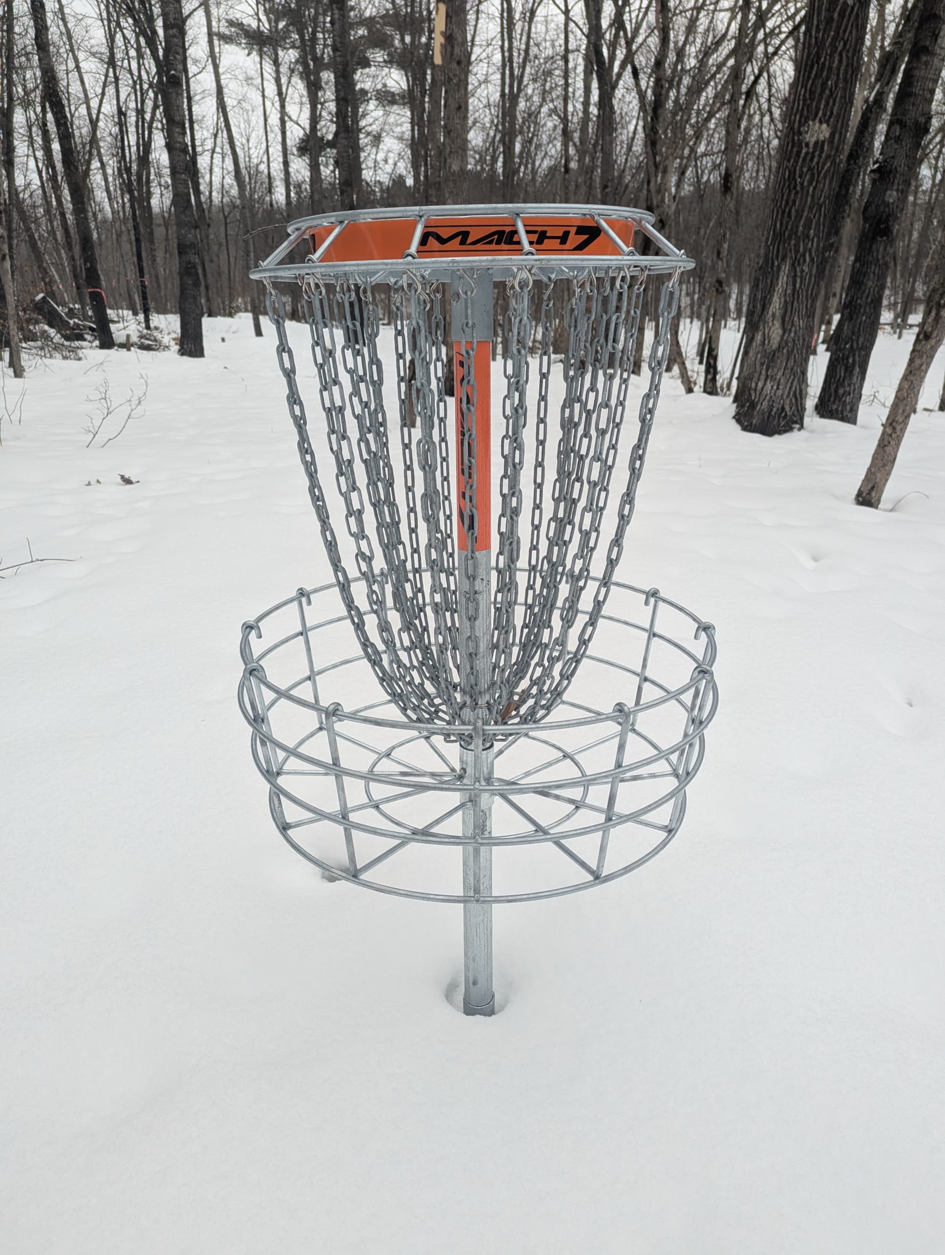 Disc golf course winding through the woods