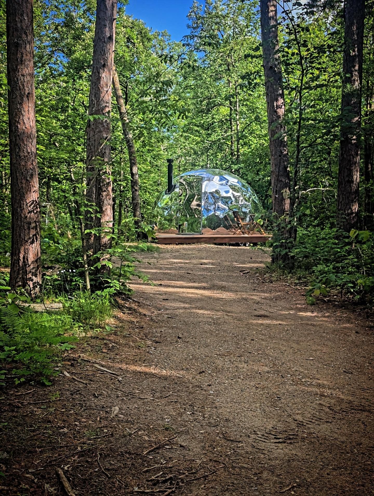 Forest path leading to a glamping dome at Cuyuna Crossing