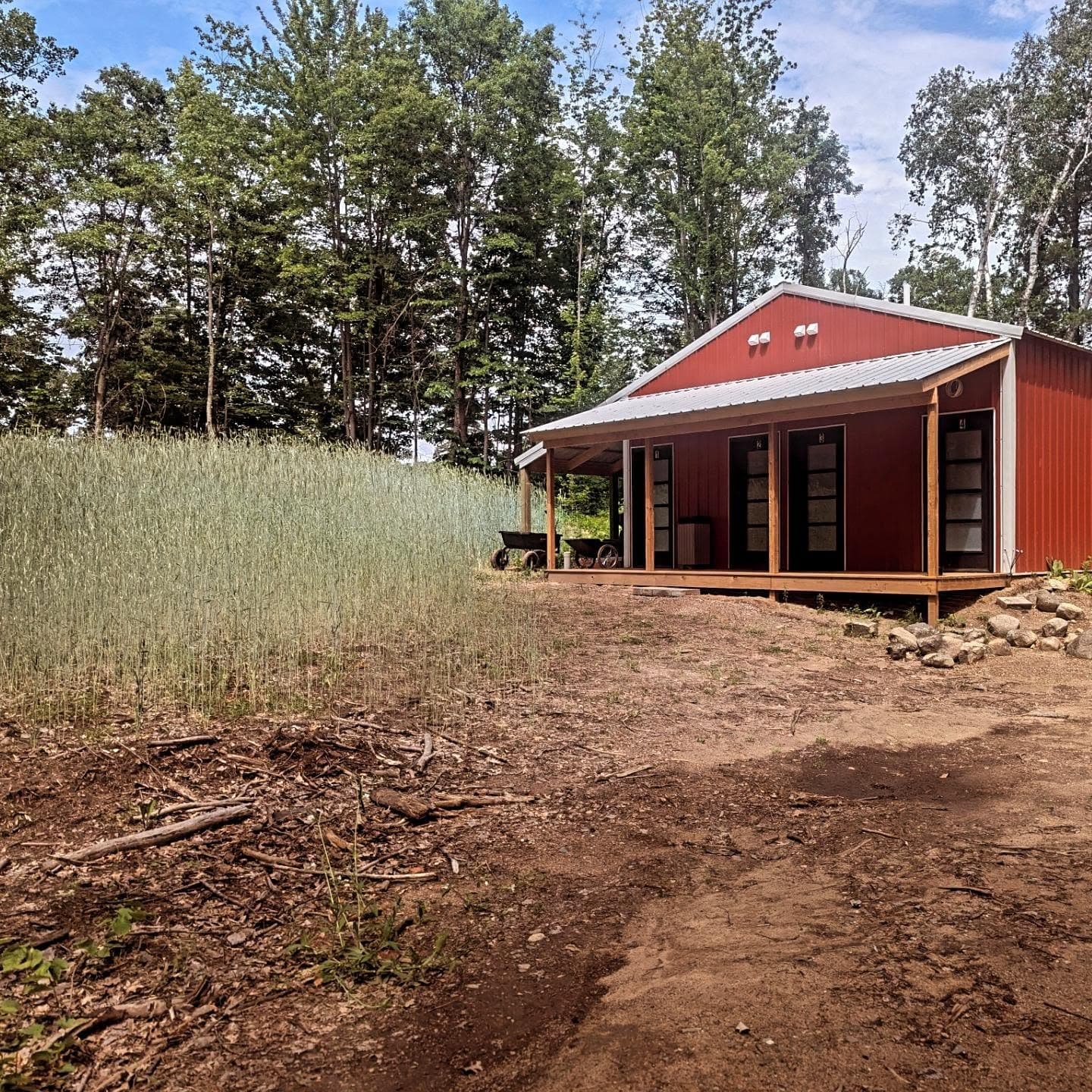Red-roofed cabin with large windows surrounded by forest